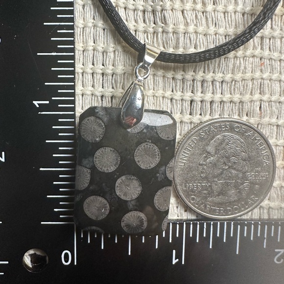 Black Coral Fossil Pendant Necklace on Black Satin Rope - Picture 13 of 14